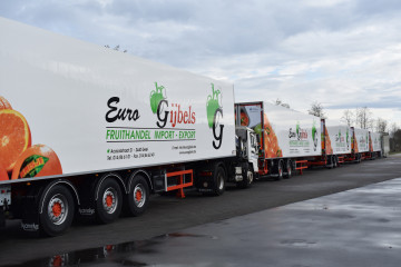 5x Nieuwe koelopleggers in Geel 