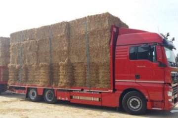 Open laadplateau voor strotransport op MAN in Hoegaarden