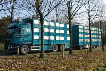 Veelaadkast IRMA met 3 laadvloeren op VOLVO in Wuustwezel