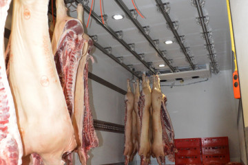 Geïsoleerde laadkast voor hangend vlees transport op Renault in Lille