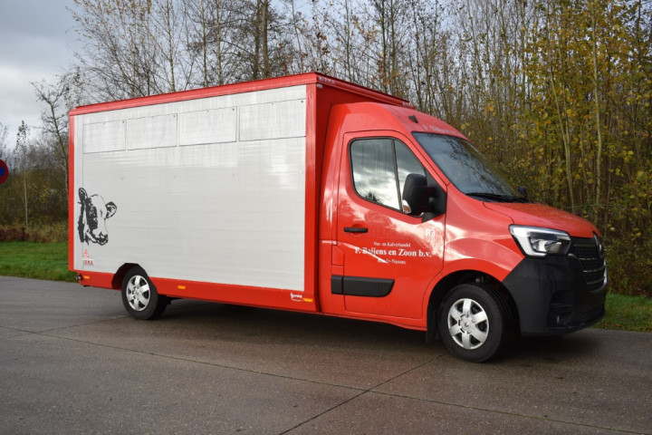 Baijens Irma Veetransport Renault Master Dierentransport Levend Vee Baarle Nassau (1)