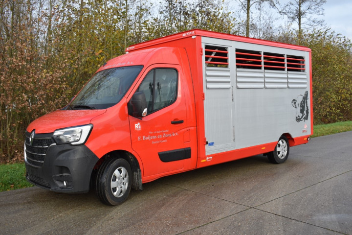 Baijens Irma Veetransport Renault Master Dierentransport Levend Vee Baarle Nassau (10)