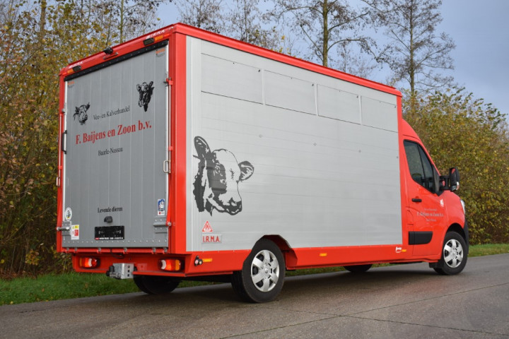 Baijens Irma Veetransport Renault Master Dierentransport Levend Vee Baarle Nassau (2)
