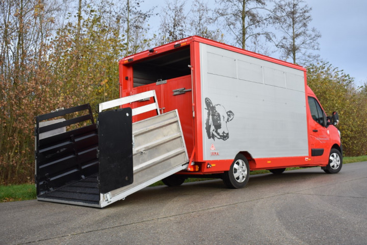Baijens Irma Veetransport Renault Master Dierentransport Levend Vee Baarle Nassau (3)