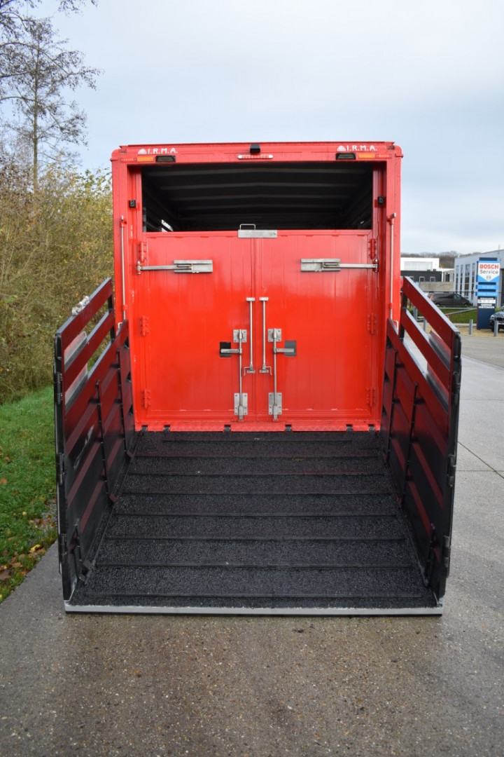 Baijens Irma Veetransport Renault Master Dierentransport Levend Vee Baarle Nassau (4)