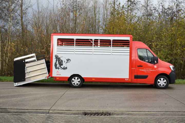 Baijens Irma Veetransport Renault Master Dierentransport Levend Vee Baarle Nassau (8)