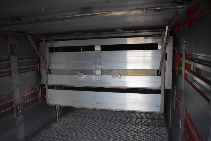 Baijens Veetransport Irma Baarle Nassau Levend Vee Scania (1)