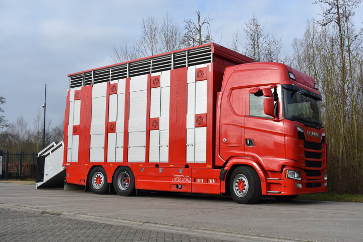 Baijens Veetransport Irma Baarle Nassau Levend Vee Scania (11)