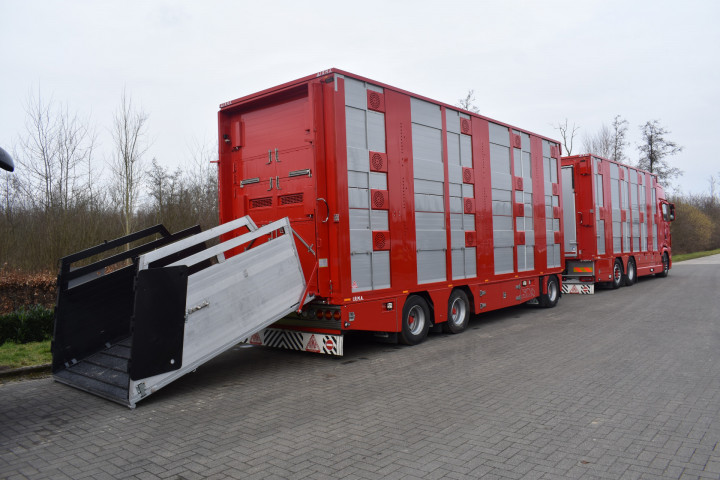 Baijens Veetransport Irma Baarle Nassau Levend Vee Scania (16)