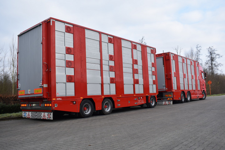 Baijens Veetransport Irma Baarle Nassau Levend Vee Scania (2)