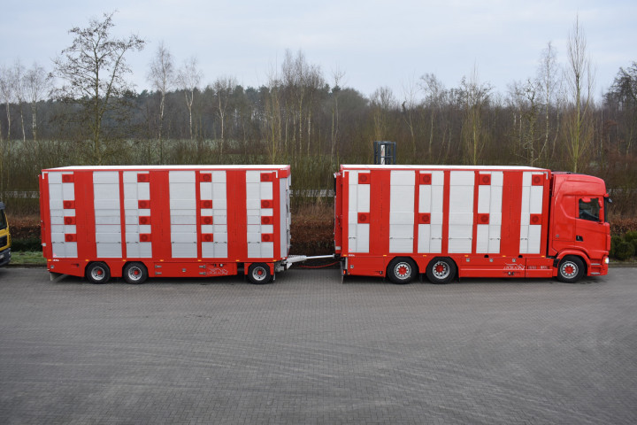 Baijens Veetransport Irma Baarle Nassau Levend Vee Scania (3)