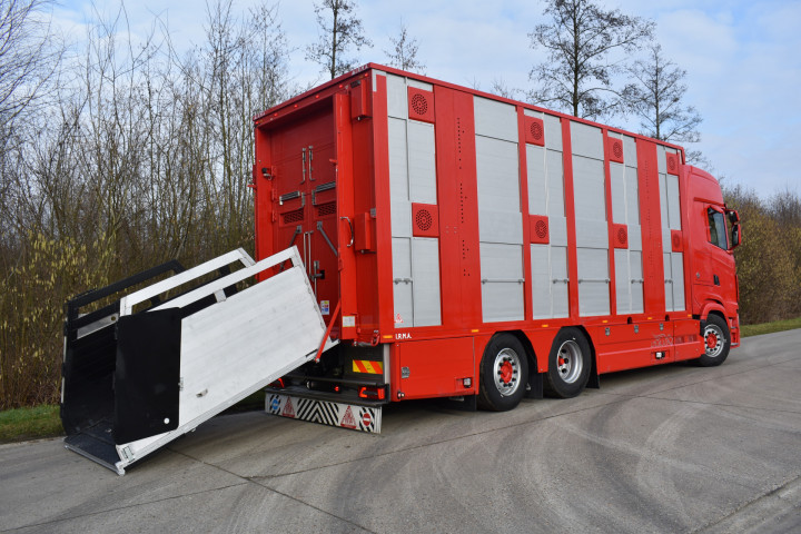 Baijens Veetransport Irma Baarle Nassau Levend Vee Scania (8)