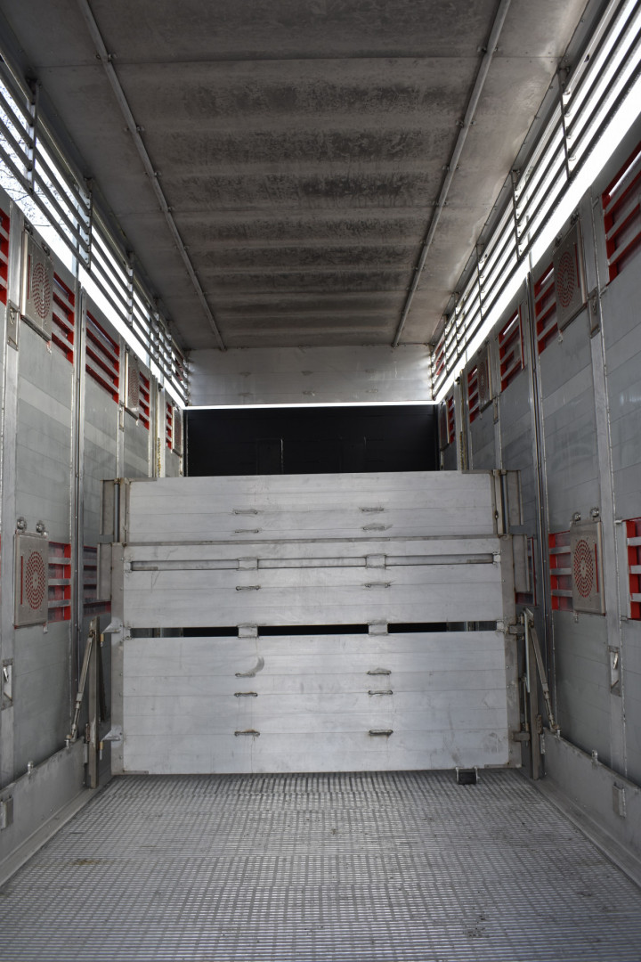 Baijens Veetransport Irma Baarle Nassau Levend Vee Scania (9)