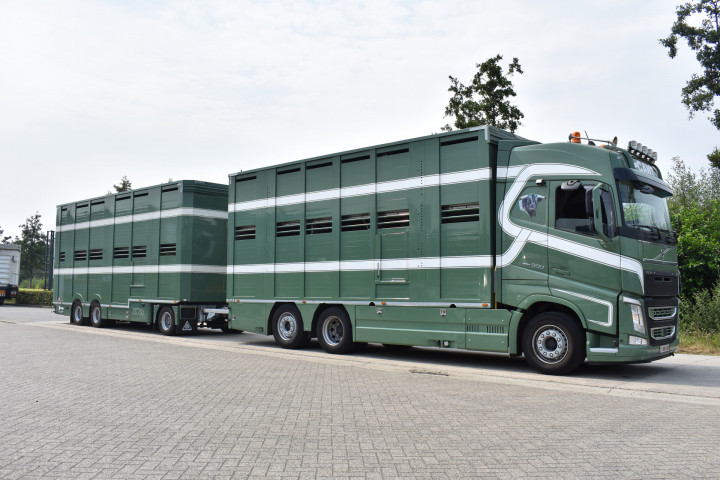 Irma Aanhangwagen Veetransport Transport Animaux Vivants Cant Meerdonk (10)