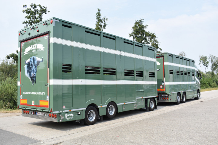 Irma Aanhangwagen Veetransport Transport Animaux Vivants Cant Meerdonk (8)