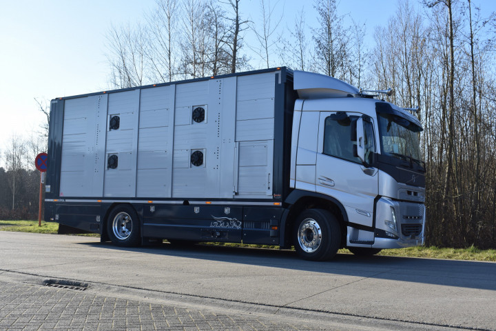 Irma Laadbak Leven Vee Transport Volvo Beyls (1) 2