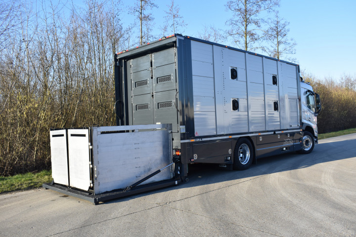 Irma Laadbak Leven Vee Transport Volvo Beyls (4)