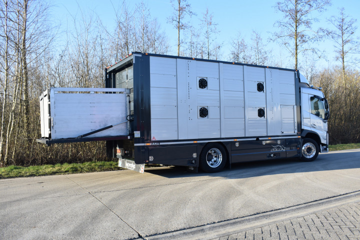 Irma Laadbak Leven Vee Transport Volvo Beyls (5)