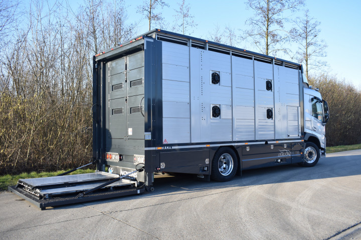 Irma Laadbak Leven Vee Transport Volvo Beyls (7)