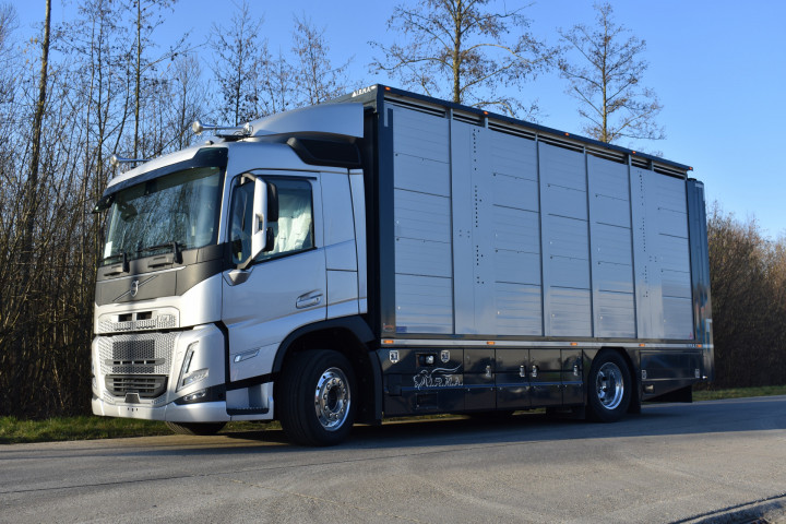 Irma Laadbak Leven Vee Transport Volvo Beyls (8) 2