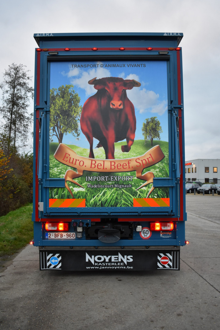 Irma Laadkast Daf Euro Bel Beef Wadelincourt Transport Vee Veevervoer Levend Vee Livestock (13)