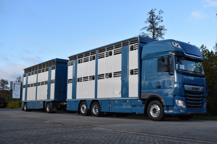 Irma Laadkast Daf Euro Bel Beef Wadelincourt Transport Vee Veevervoer Levend Vee Livestock (2)