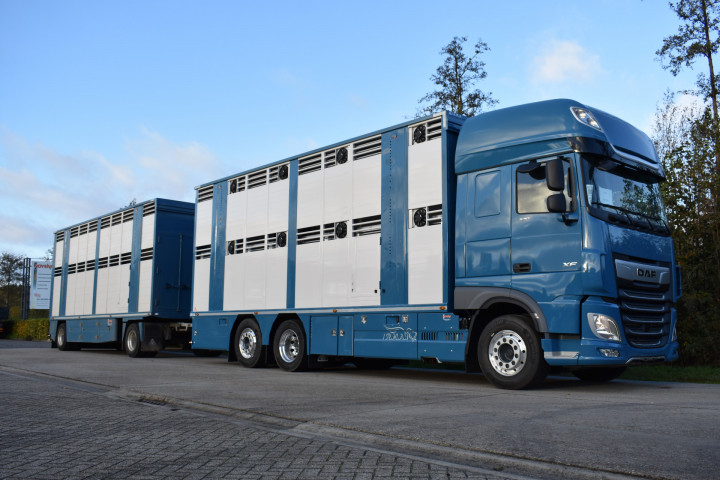 Irma Laadkast Daf Euro Bel Beef Wadelincourt Transport Vee Veevervoer Levend Vee Livestock (5)