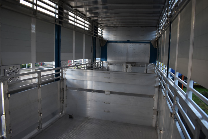 Irma Laadkast Daf Euro Bel Beef Wadelincourt Transport Vee Veevervoer Levend Vee Livestock (6)