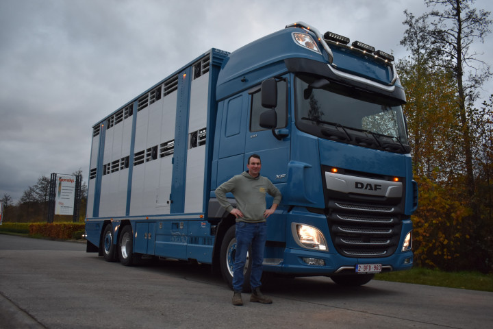 Irma Laadkast Daf Euro Bel Beef Wadelincourt Transport Vee Veevervoer Levend Vee Livestock (9)