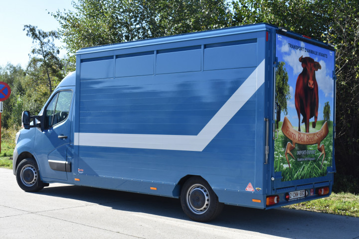 Irma Veetransport Laadkast Renault Master Euro Bel Beef Levend Vee Transport (1)