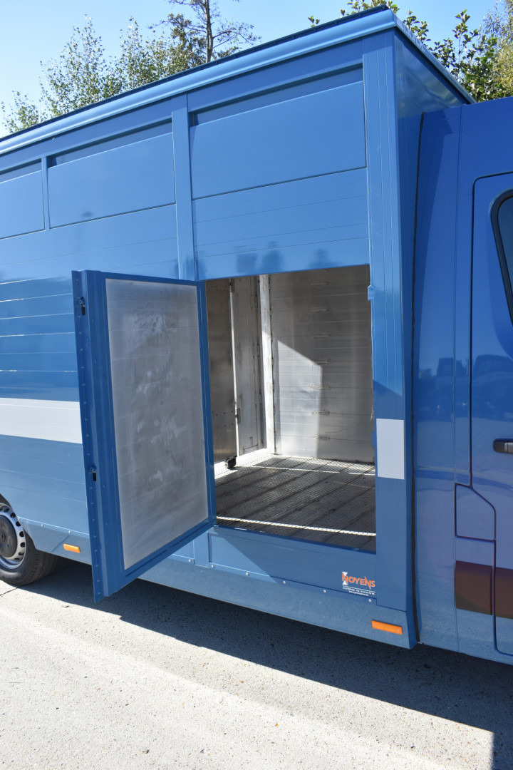 Irma Veetransport Laadkast Renault Master Euro Bel Beef Levend Vee Transport (11)