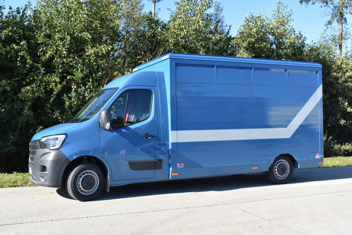 Irma Veetransport Laadkast Renault Master Euro Bel Beef Levend Vee Transport (13)