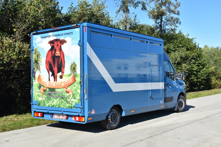 Irma Veetransport Laadkast Renault Master Euro Bel Beef Levend Vee Transport (2)