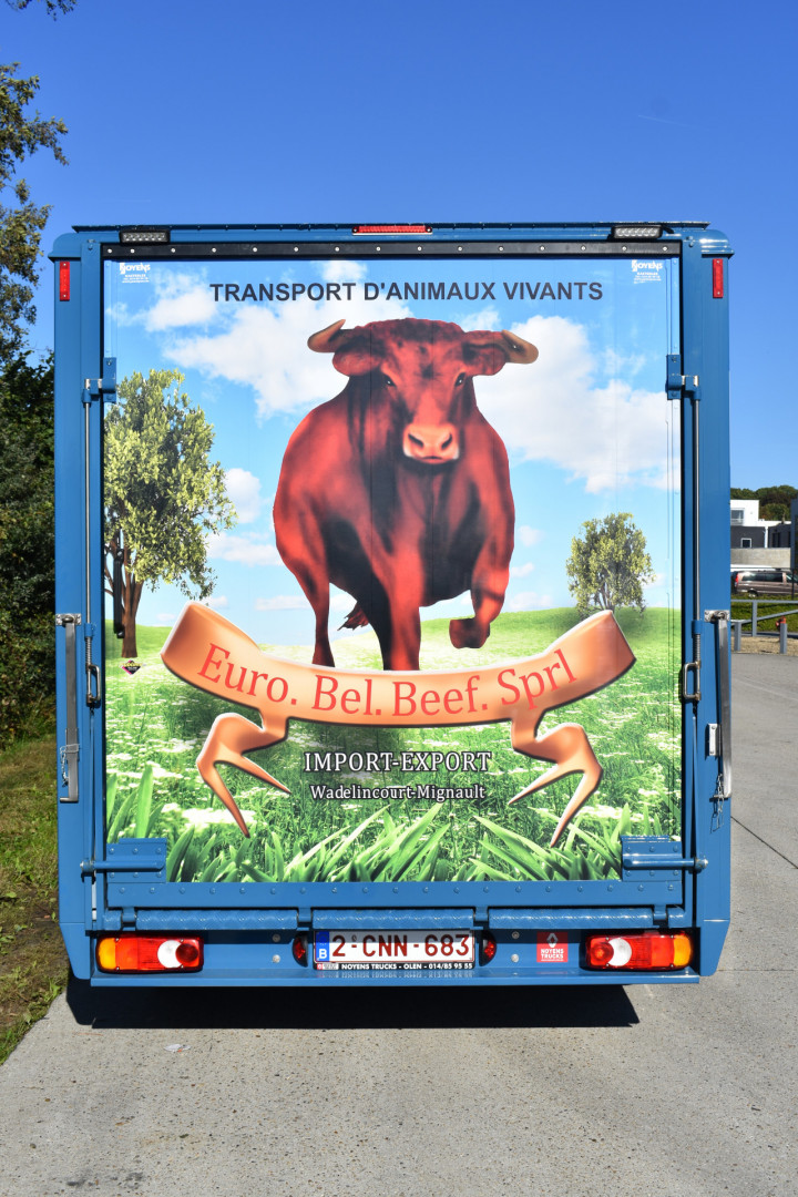Irma Veetransport Laadkast Renault Master Euro Bel Beef Levend Vee Transport (3)