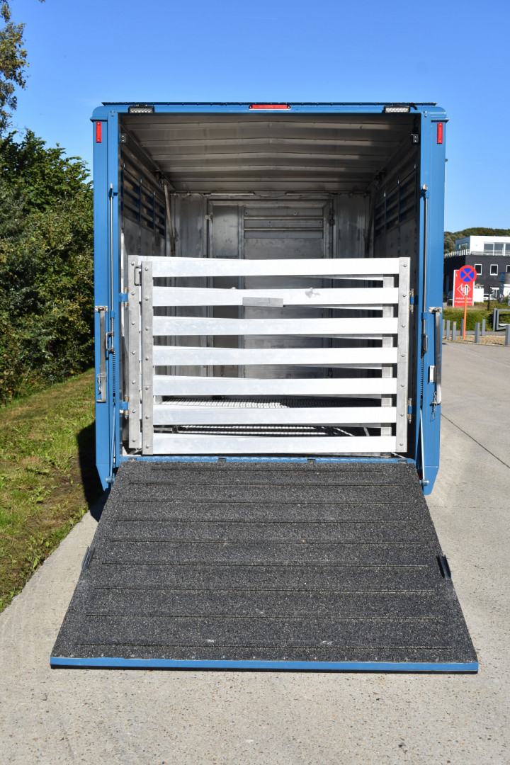 Irma Veetransport Laadkast Renault Master Euro Bel Beef Levend Vee Transport (4)