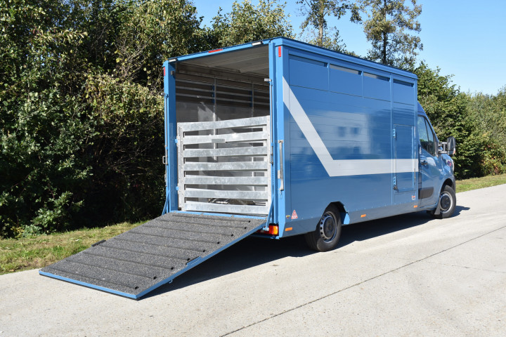 Irma Veetransport Laadkast Renault Master Euro Bel Beef Levend Vee Transport (5)
