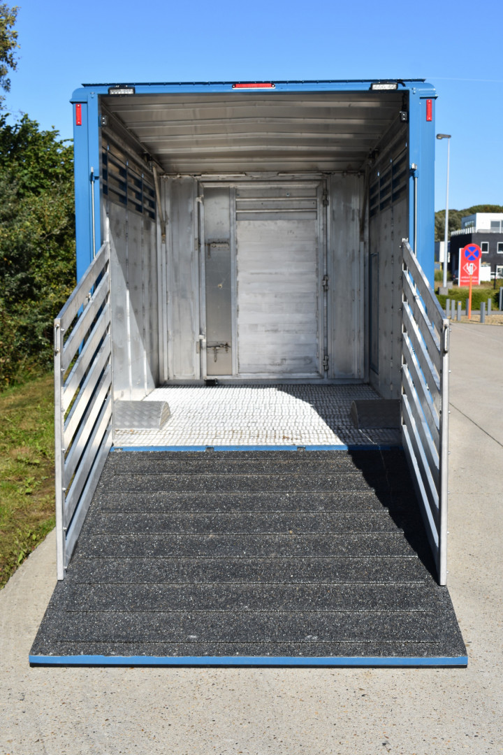 Irma Veetransport Laadkast Renault Master Euro Bel Beef Levend Vee Transport (6)