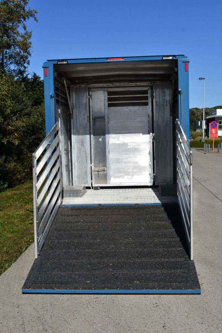 Irma Veetransport Laadkast Renault Master Euro Bel Beef Levend Vee Transport (7)