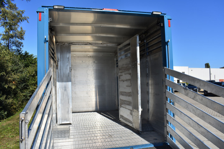 Irma Veetransport Laadkast Renault Master Euro Bel Beef Levend Vee Transport (8)