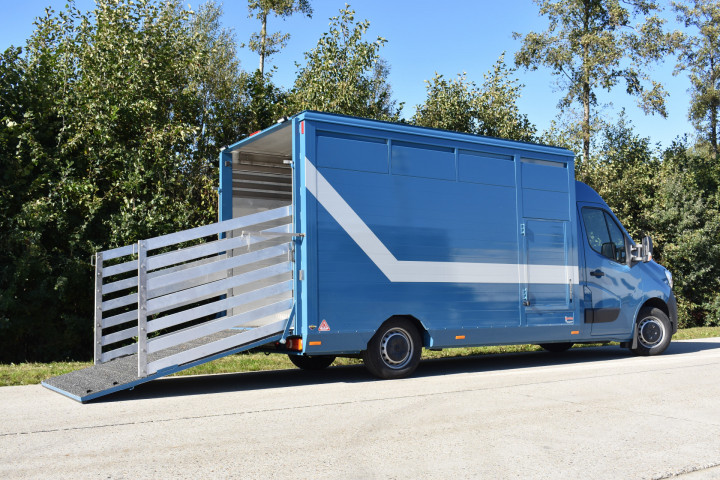 Irma Veetransport Laadkast Renault Master Euro Bel Beef Levend Vee Transport (9)