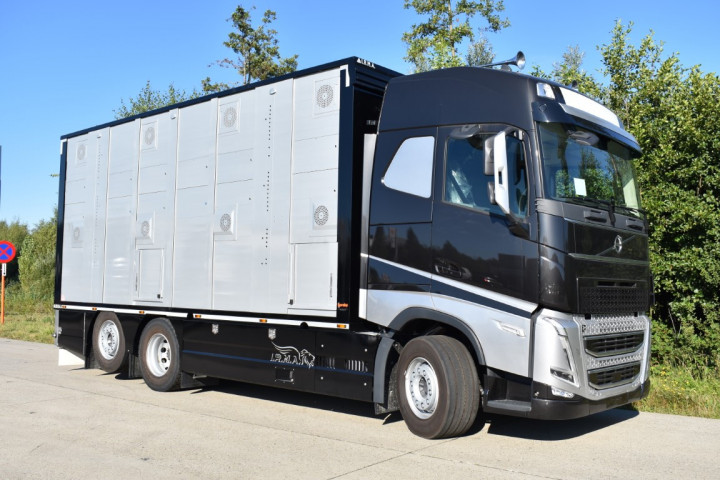 Irma Veetransport Livestock Express Vee Express Carrosseriebouw Levende Dieren (12) (middel)