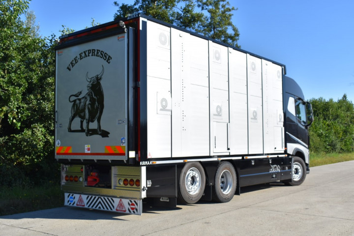 Irma Veetransport Livestock Express Vee Express Carrosseriebouw Levende Dieren (13) (middel)