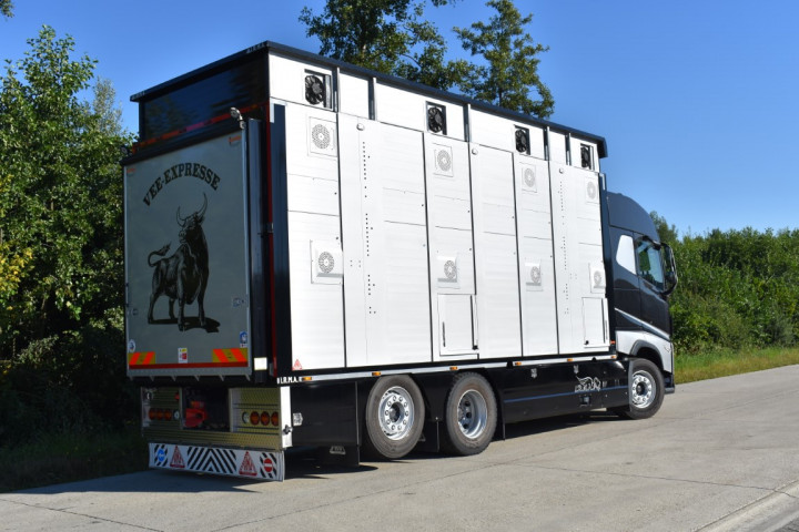 Irma Veetransport Livestock Express Vee Express Carrosseriebouw Levende Dieren (14) (middel)