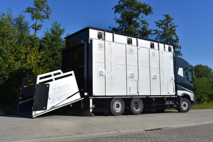 Irma Veetransport Livestock Express Vee Express Carrosseriebouw Levende Dieren (15) (middel)
