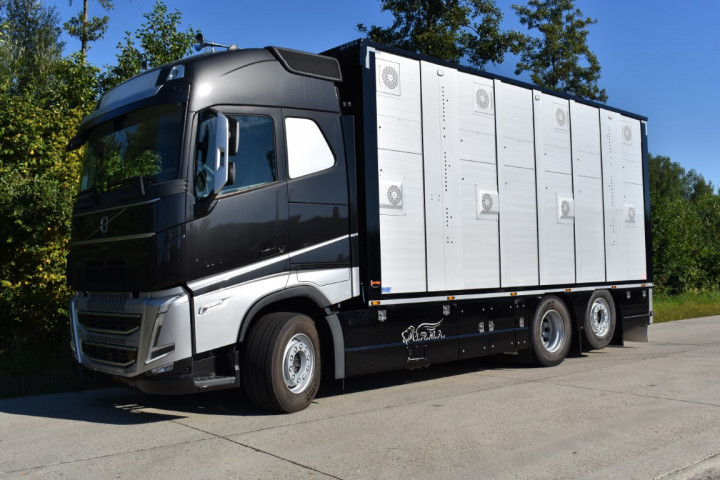 Irma Veetransport Livestock Express Vee Express Carrosseriebouw Levende Dieren (20) (middel)