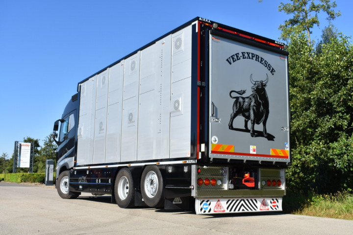 Irma Veetransport Livestock Express Vee Express Carrosseriebouw Levende Dieren (21) (middel)