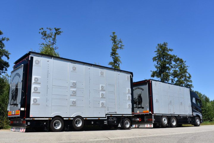 Irma Veetransport Livestock Express Vee Express Carrosseriebouw Levende Dieren (22) (middel)