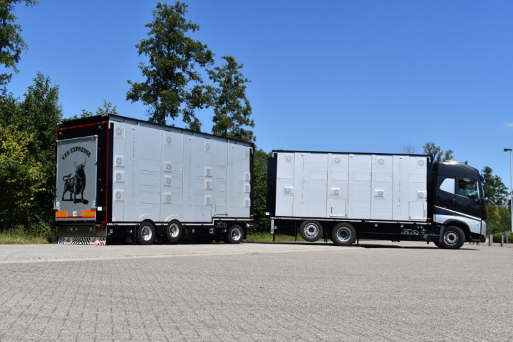 Irma Veetransport Livestock Express Vee Express Carrosseriebouw Levende Dieren (23) (middel)