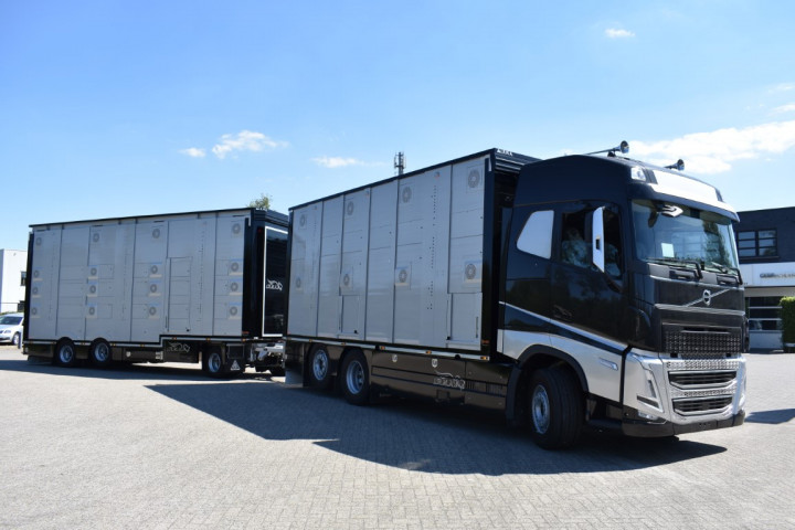 Irma Veetransport Livestock Express Vee Express Carrosseriebouw Levende Dieren (25) (middel)