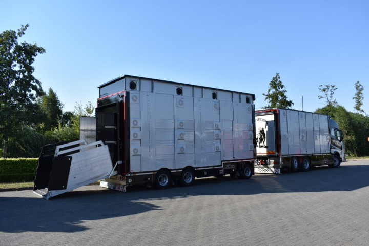 Irma Veetransport Livestock Express Vee Express Carrosseriebouw Levende Dieren (8) (middel)